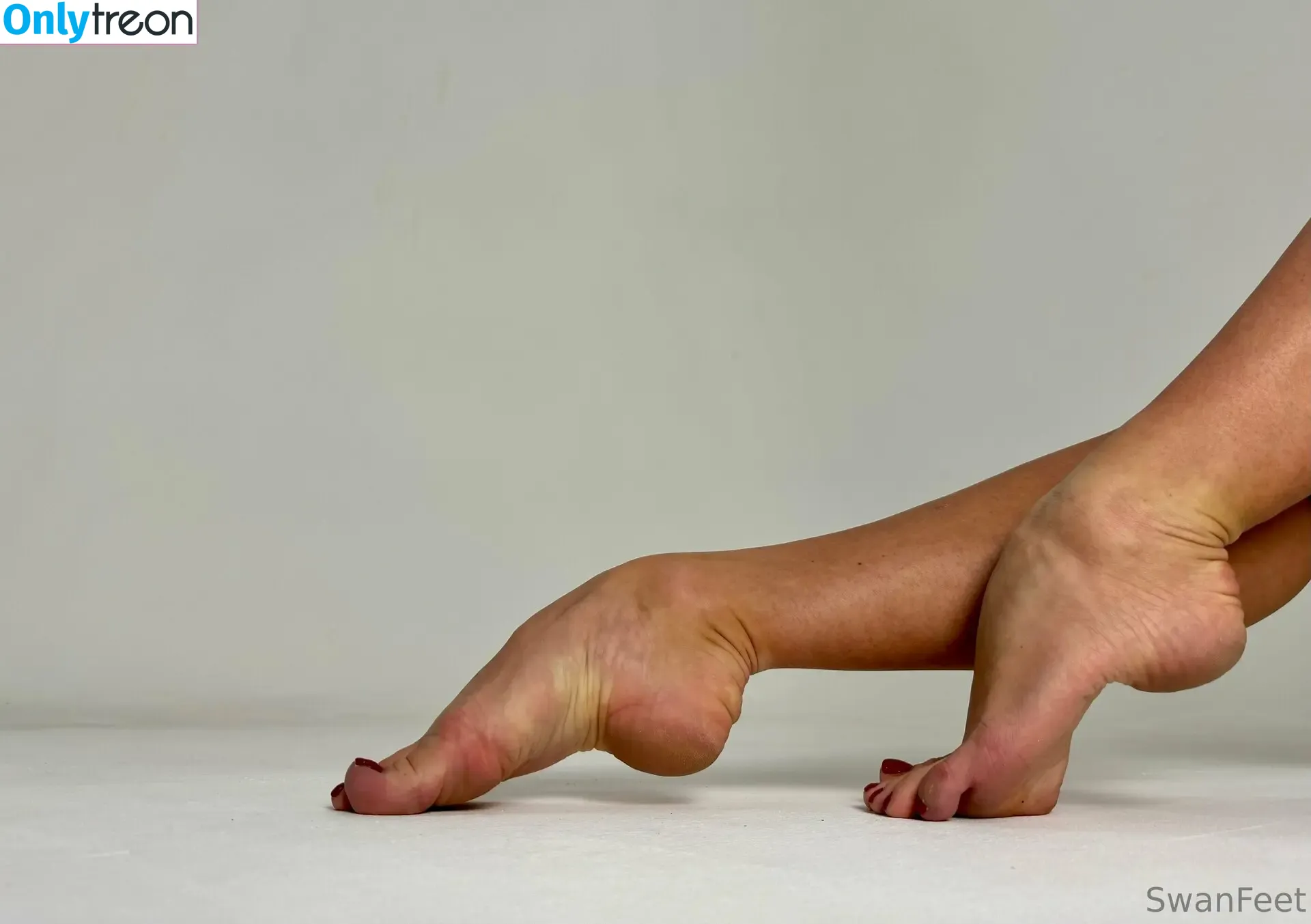 Swanfeet nude photo #0070 (elzaarch)
