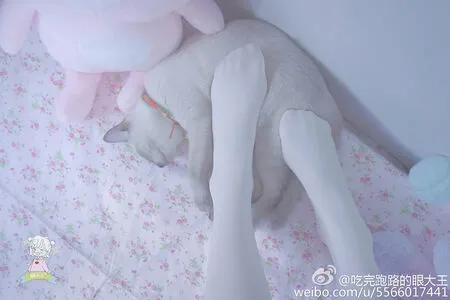 Sxeyes_ / sxeyes__ / 眼醬大魔王w nude photo #0184