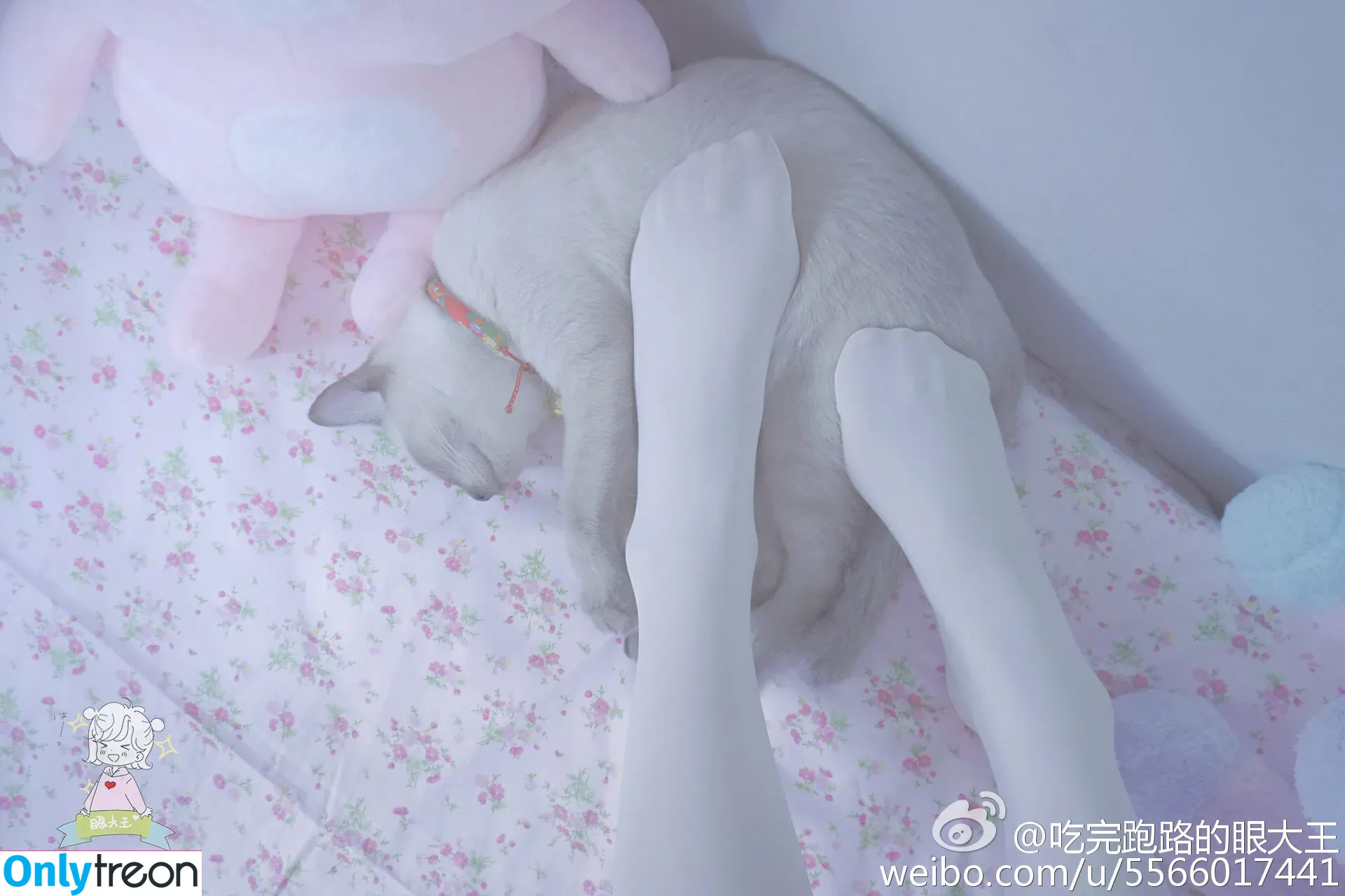 Sxeyes_ nude photo #0184 (sxeyes__ / 眼醬大魔王w)