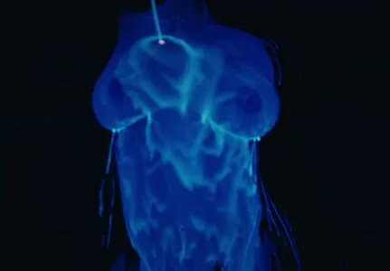 SZA / Solana Rowe / thejad3x nude photo #0060