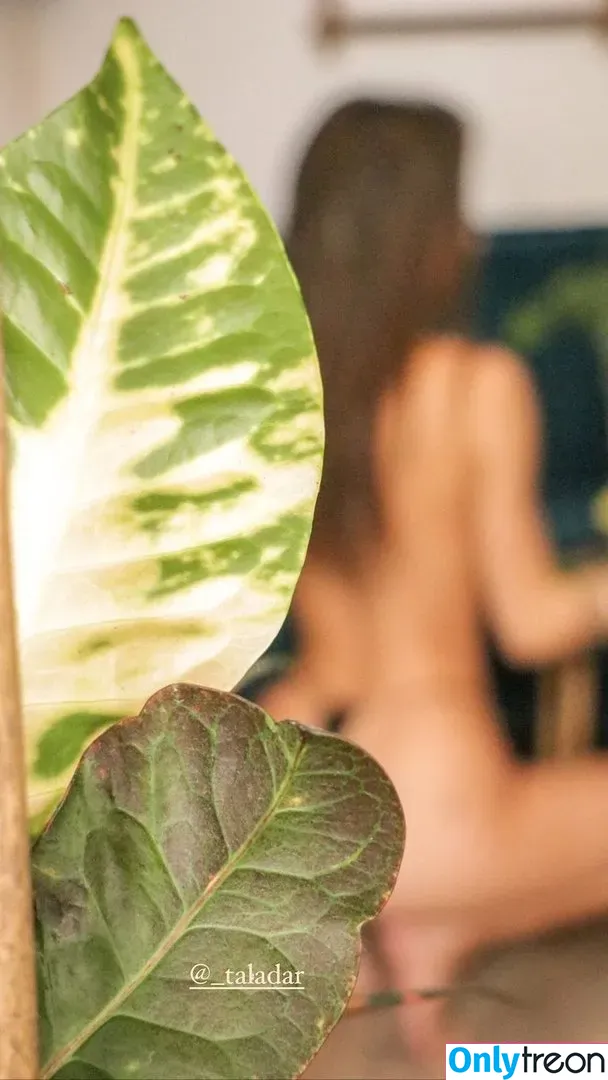 Tal Adar nude photo #0005 (TalBakker / _taladar)