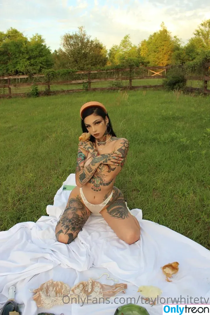 Taylor White nude photo #0259 (taylorwhitetv)