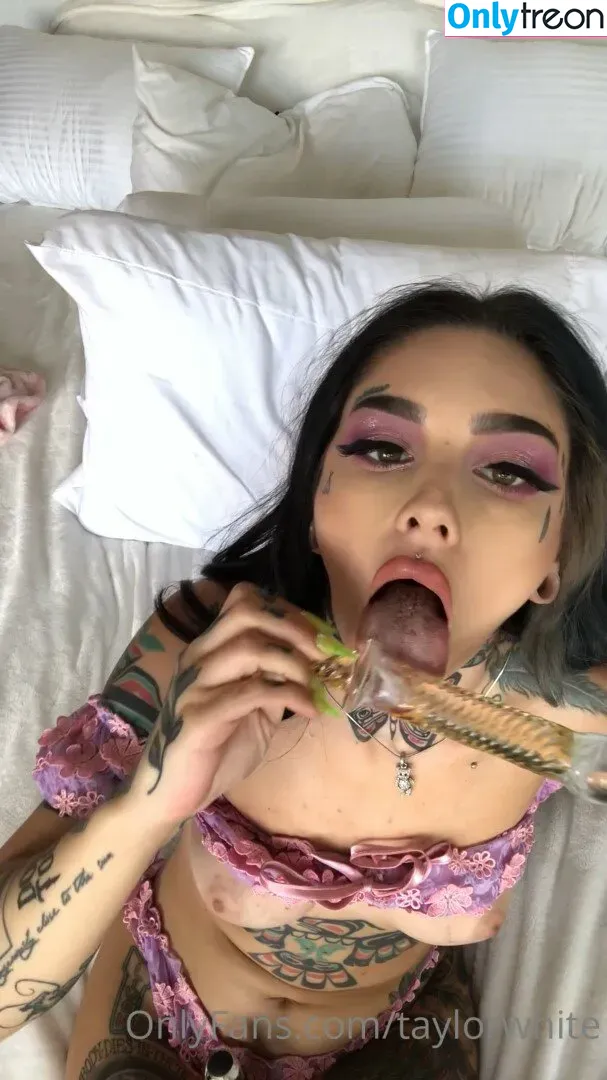 Taylor White nude photo #0439 (taylorwhitetv)