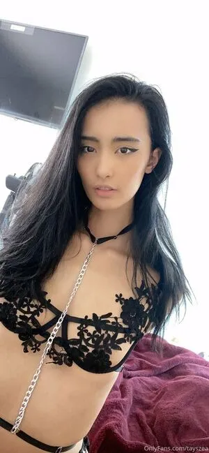 Tayszea / TayTheElfQueen / rosiesapothecary nude photo #0014