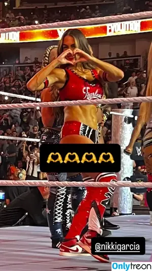 The Bella Twins: / Nikki Bella & Brie Bella / thenikkibella nude photo #0706