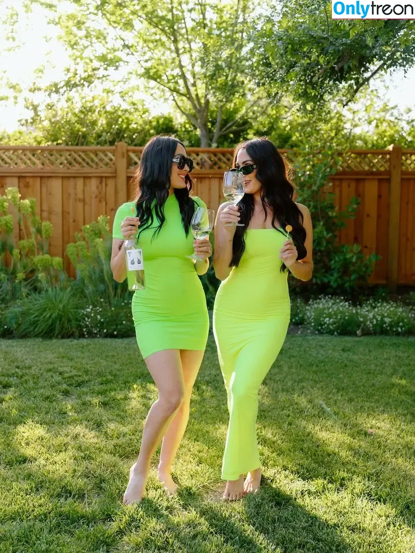 The Bella Twins: nude photo #0689 (Nikki Bella & Brie Bella / thenikkibella)
