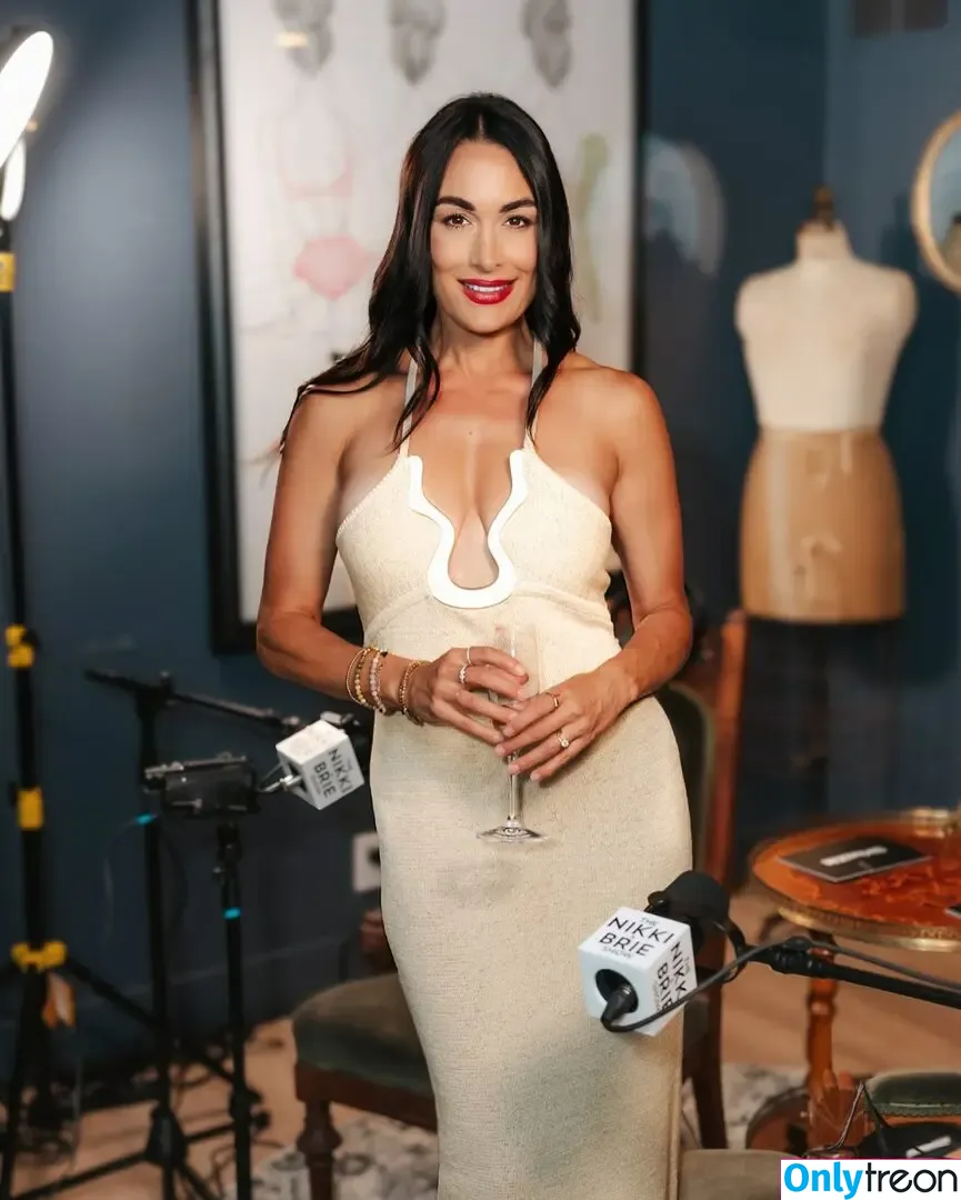 The Bella Twins: nude photo #0693 (Nikki Bella & Brie Bella / thenikkibella)