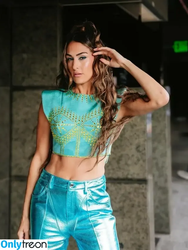 The Bella Twins: nude photo #0708 (Nikki Bella & Brie Bella / thenikkibella)