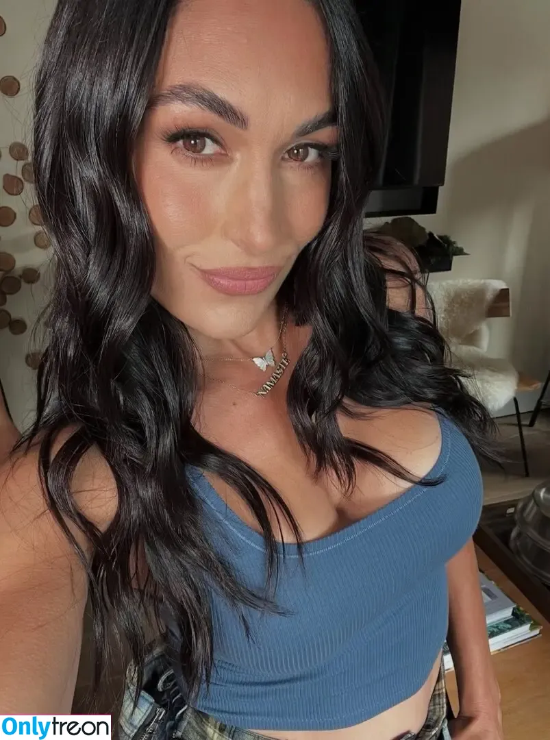 The Bella Twins: nude photo #0736 (Nikki Bella & Brie Bella / thenikkibella)