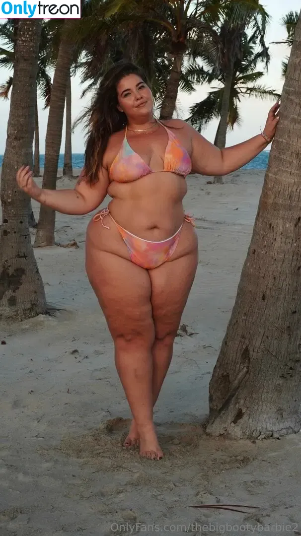 thebigbootybarbie2 nude photo #0104 (thebootybarbie)
