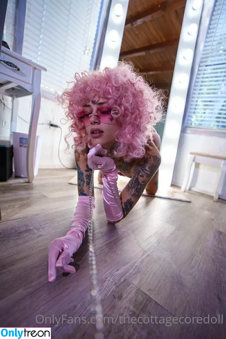 thecottagecoredoll nude photo #0100 (Lilvixxen666 / Spencer Ashton / cottagecore.doll)
