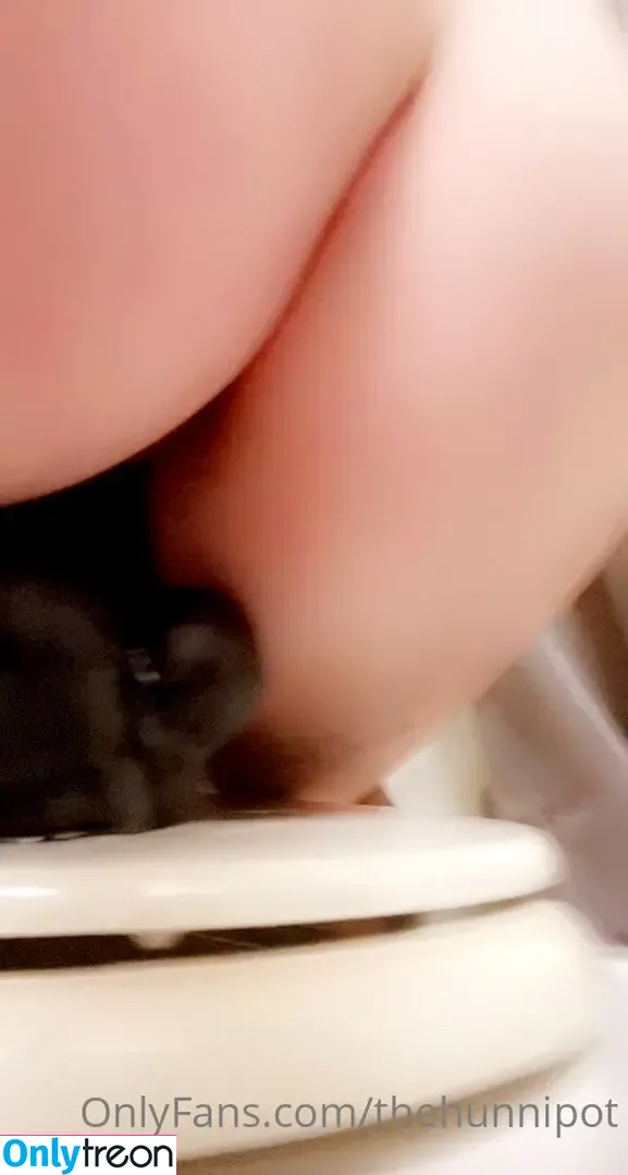 thehunnipot nude photo #0032 (thehunnipot_esthetics)