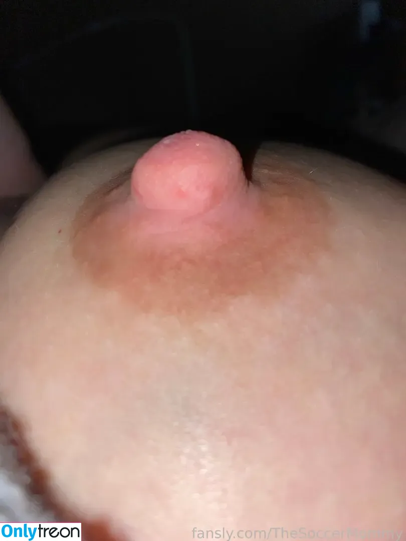 TheSoccerMommy nude photo #0137 (TheSoccerMommy)