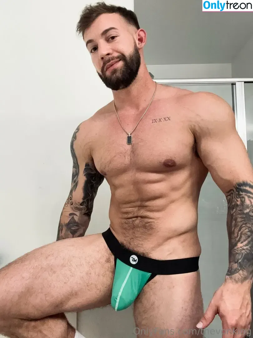 thevonking nude photo #0063 (vonkingfans)