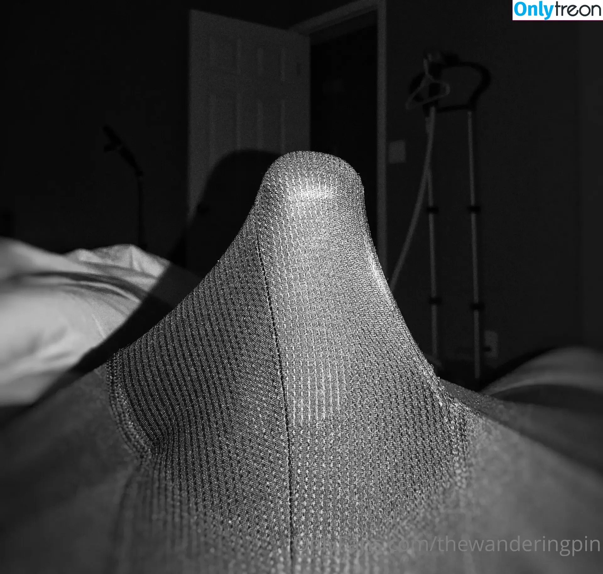 thewanderingpin nude photo #0012 (thewanderingband)