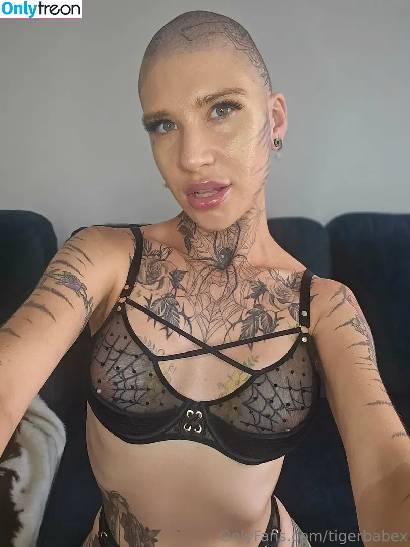 tigerbabex nude photo #0091 (tigerbabex)