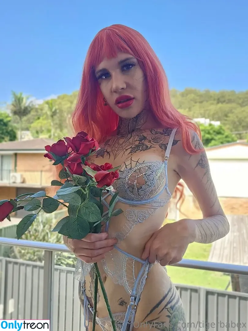 tigerbabex nude photo #0093 (tigerbabex)