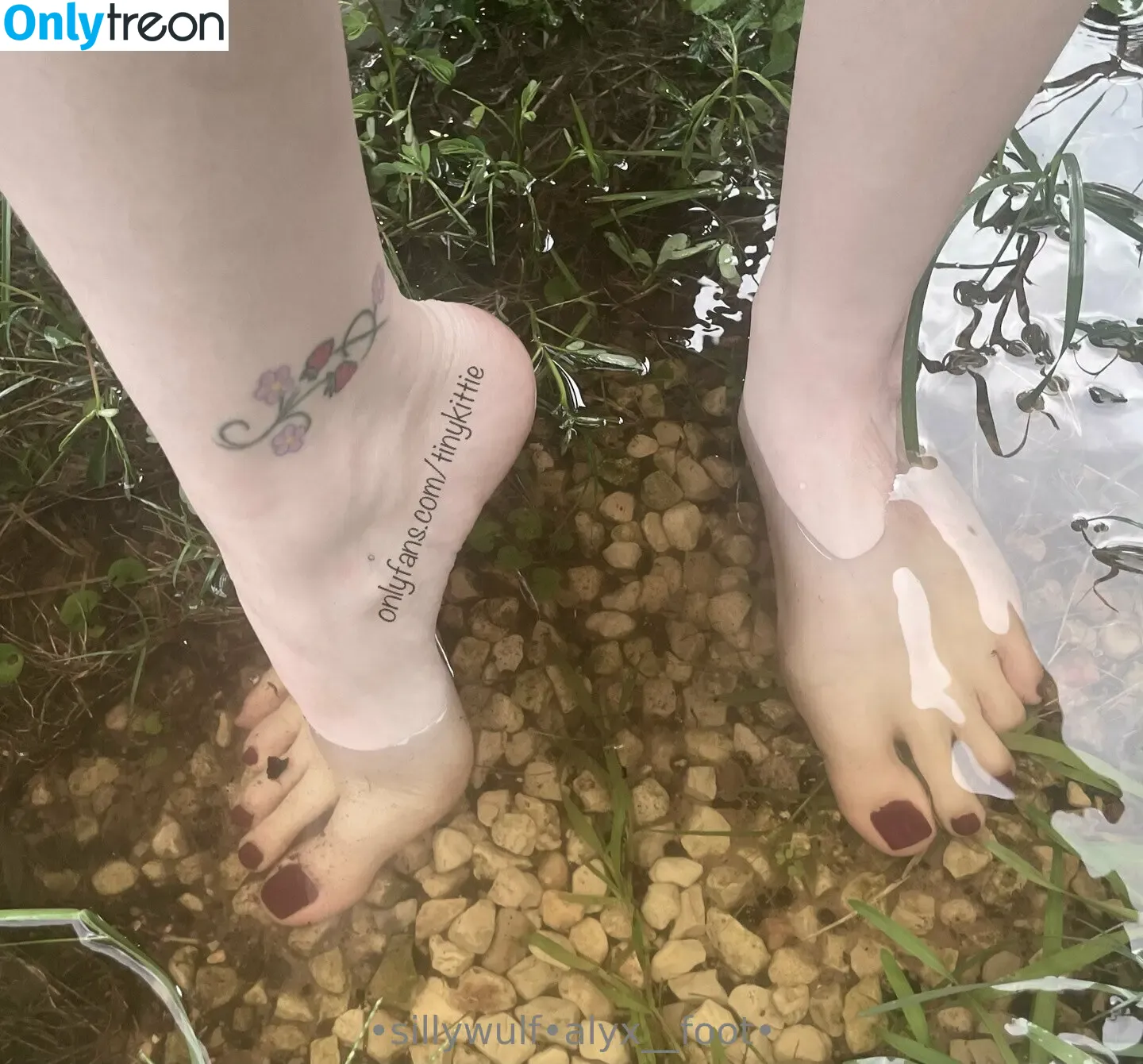 tinykittie nude photo #0601 (tinykitty15)