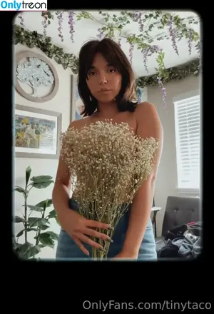tinytaco / tinytaco1995 nude photo #0050