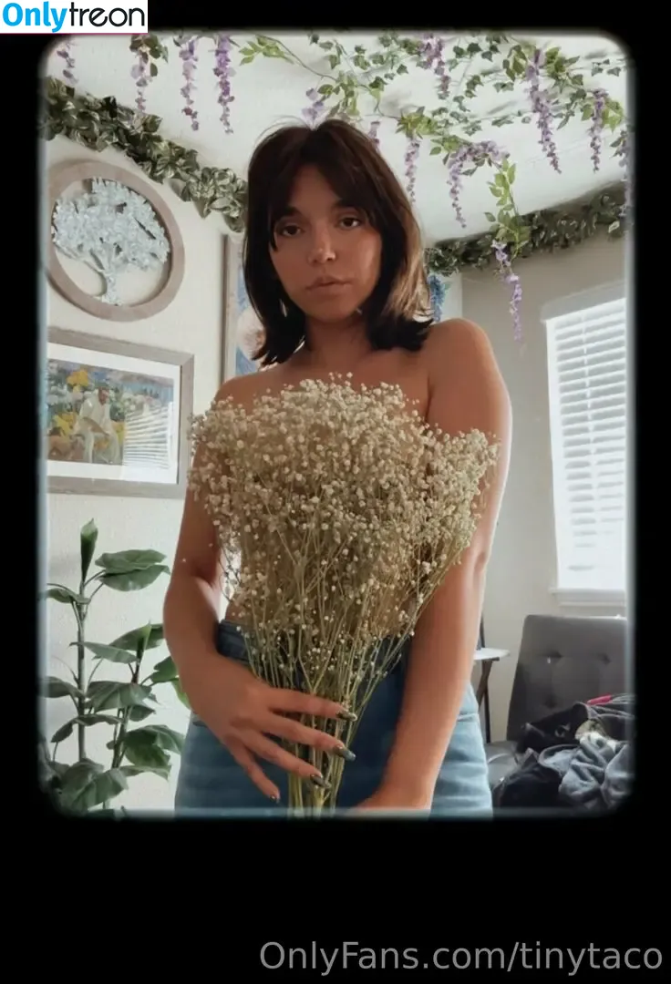 tinytaco nude photo #0050 (tinytaco1995)