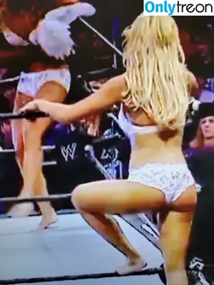 Torrie Wilson / torriewilson nude photo #0223