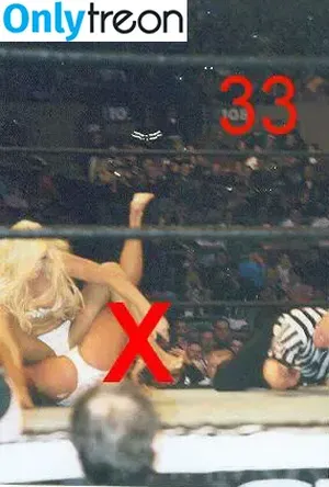 Torrie Wilson / torriewilson nude photo #0325