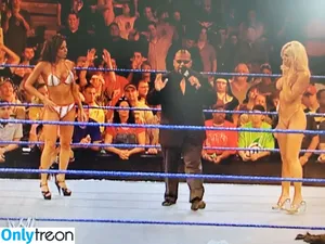 Torrie Wilson / torriewilson nude photo #0440