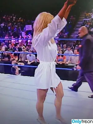 Torrie Wilson / torriewilson nude photo #0449