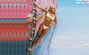Torrie Wilson / torriewilson nude photo #0728