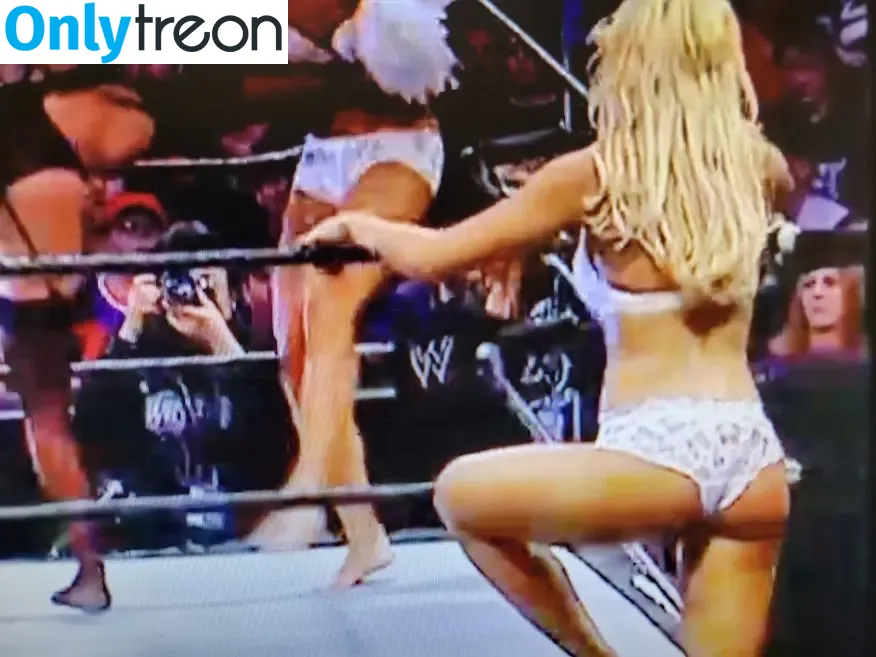 Torrie Wilson nude photo #0221 (torriewilson)
