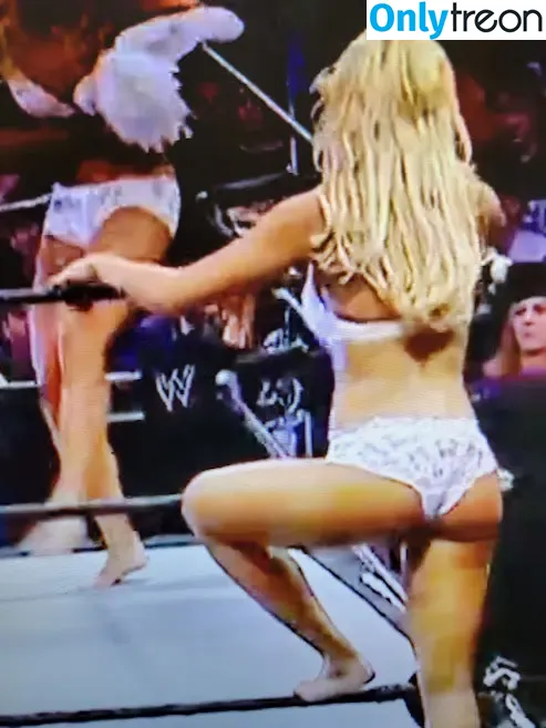 Torrie Wilson nude photo #0223 (torriewilson)