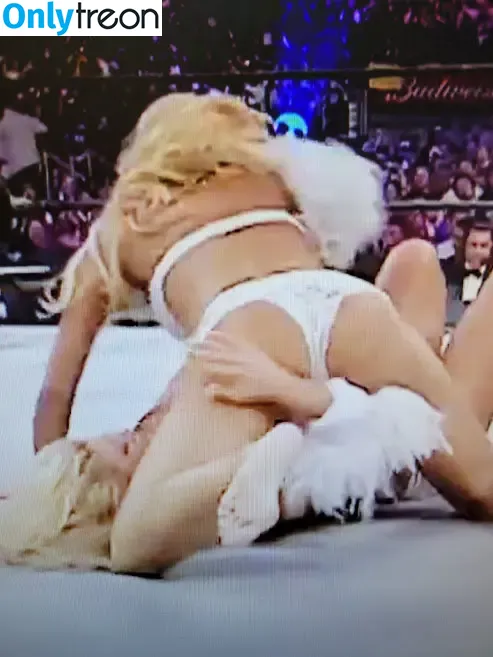 Torrie Wilson nude photo #0241 (torriewilson)