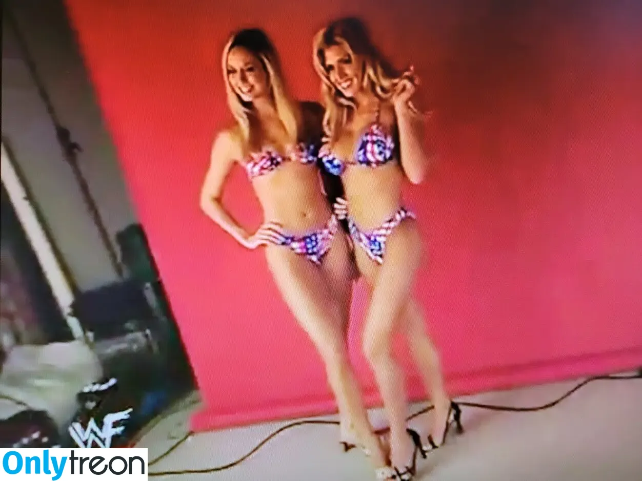 Torrie Wilson nude photo #0418 (torriewilson)
