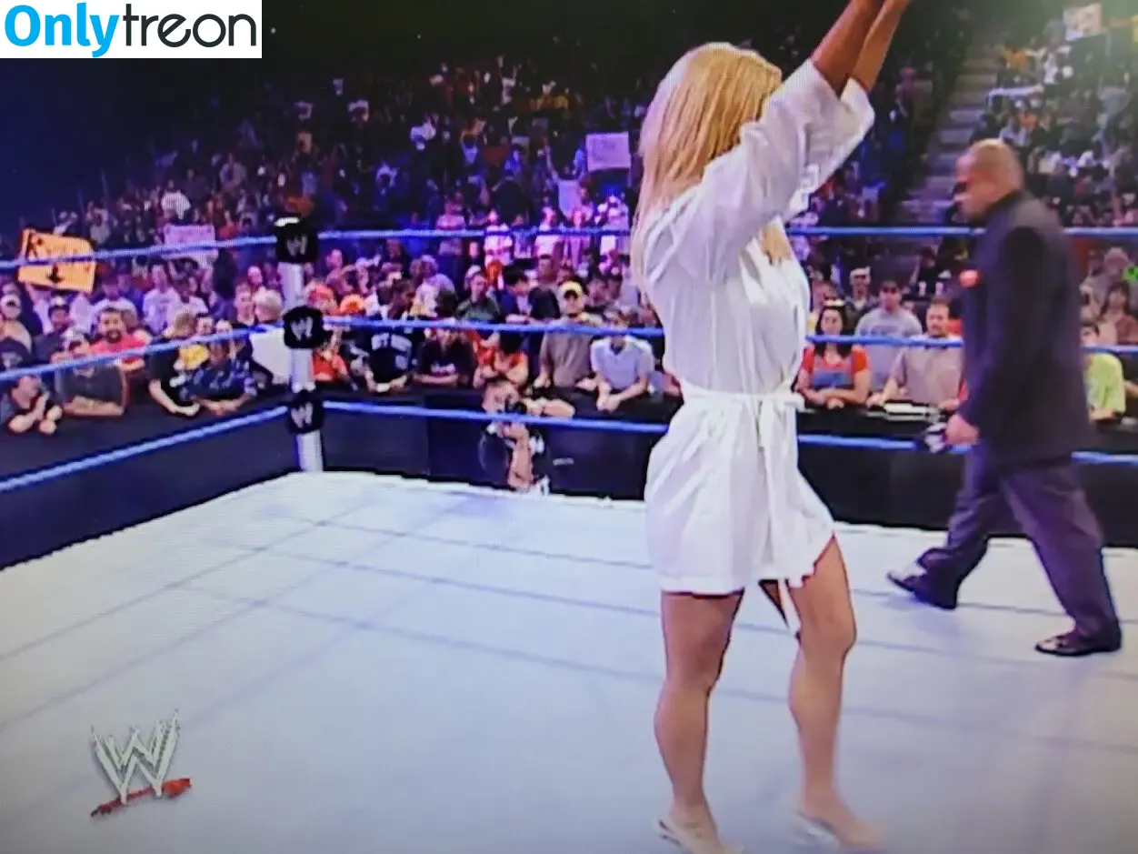 Torrie Wilson nude photo #0450 (torriewilson)