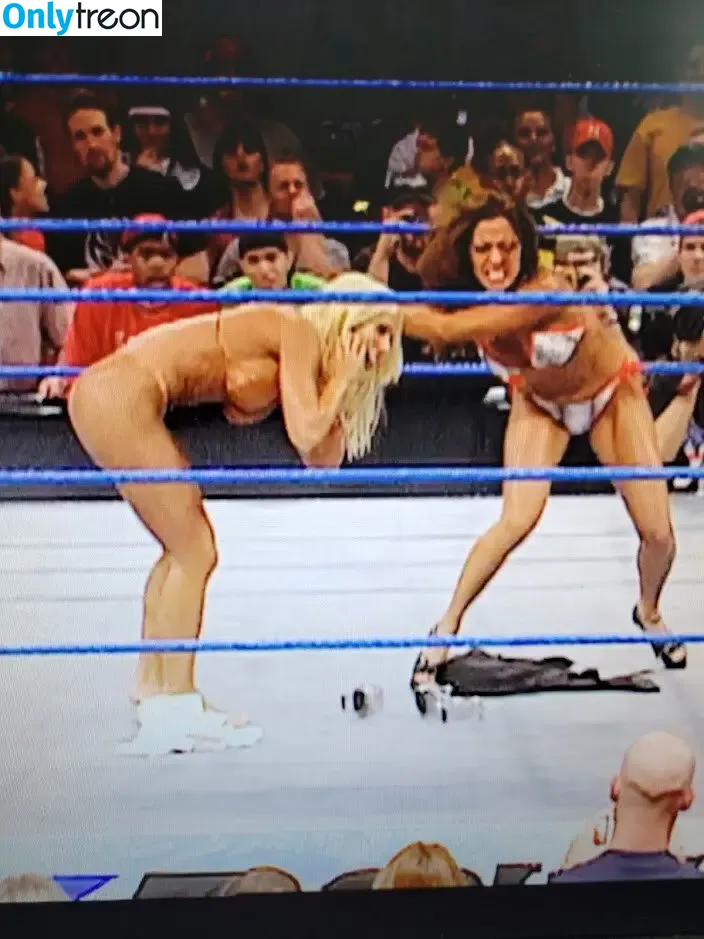 Torrie Wilson nude photo #0508 (torriewilson)