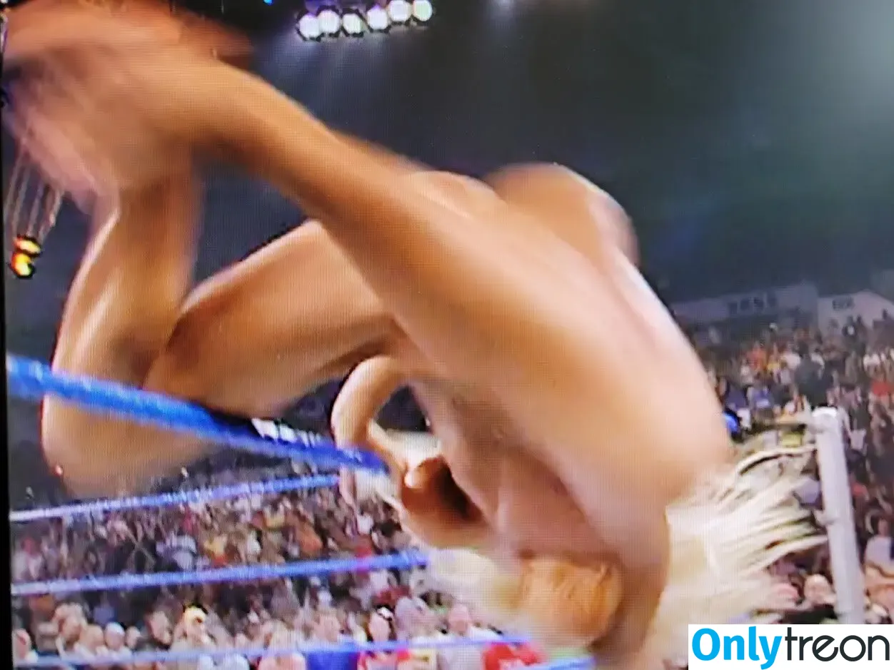 Torrie Wilson nude photo #0513 (torriewilson)