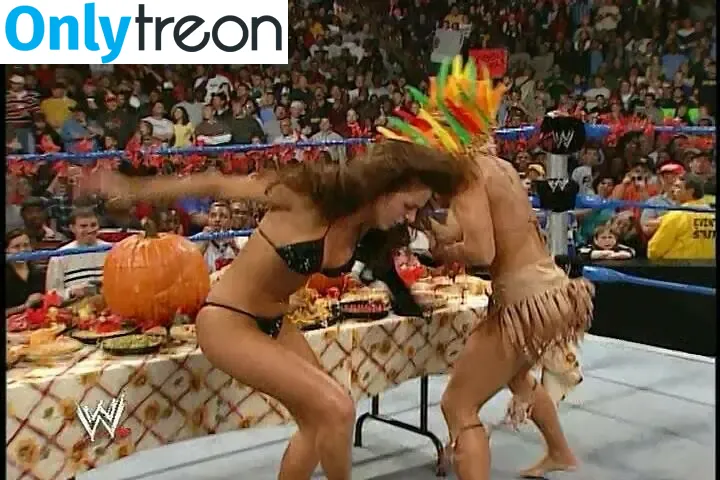 Torrie Wilson nude photo #0853 (torriewilson)