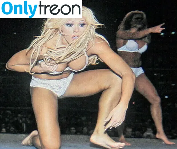 Torrie Wilson nude photo #0858 (torriewilson)