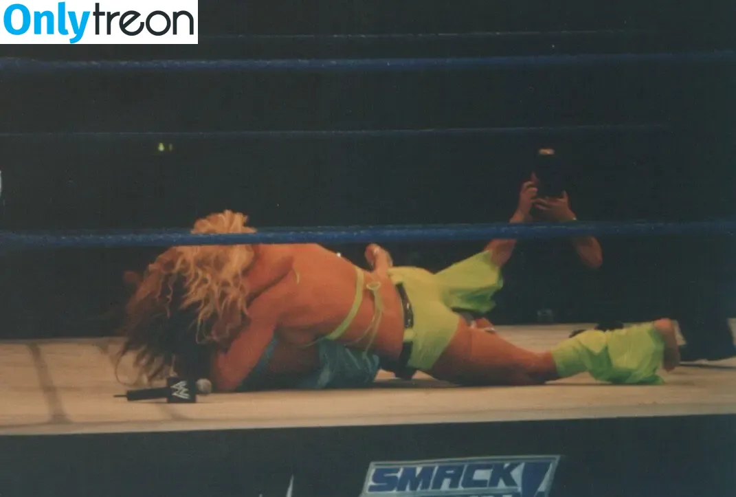 Torrie Wilson nude photo #0898 (torriewilson)