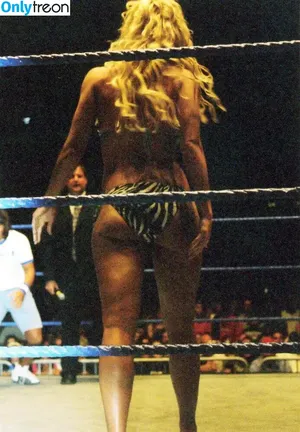 Torrie Wilson / torriewilson nude photo #1619