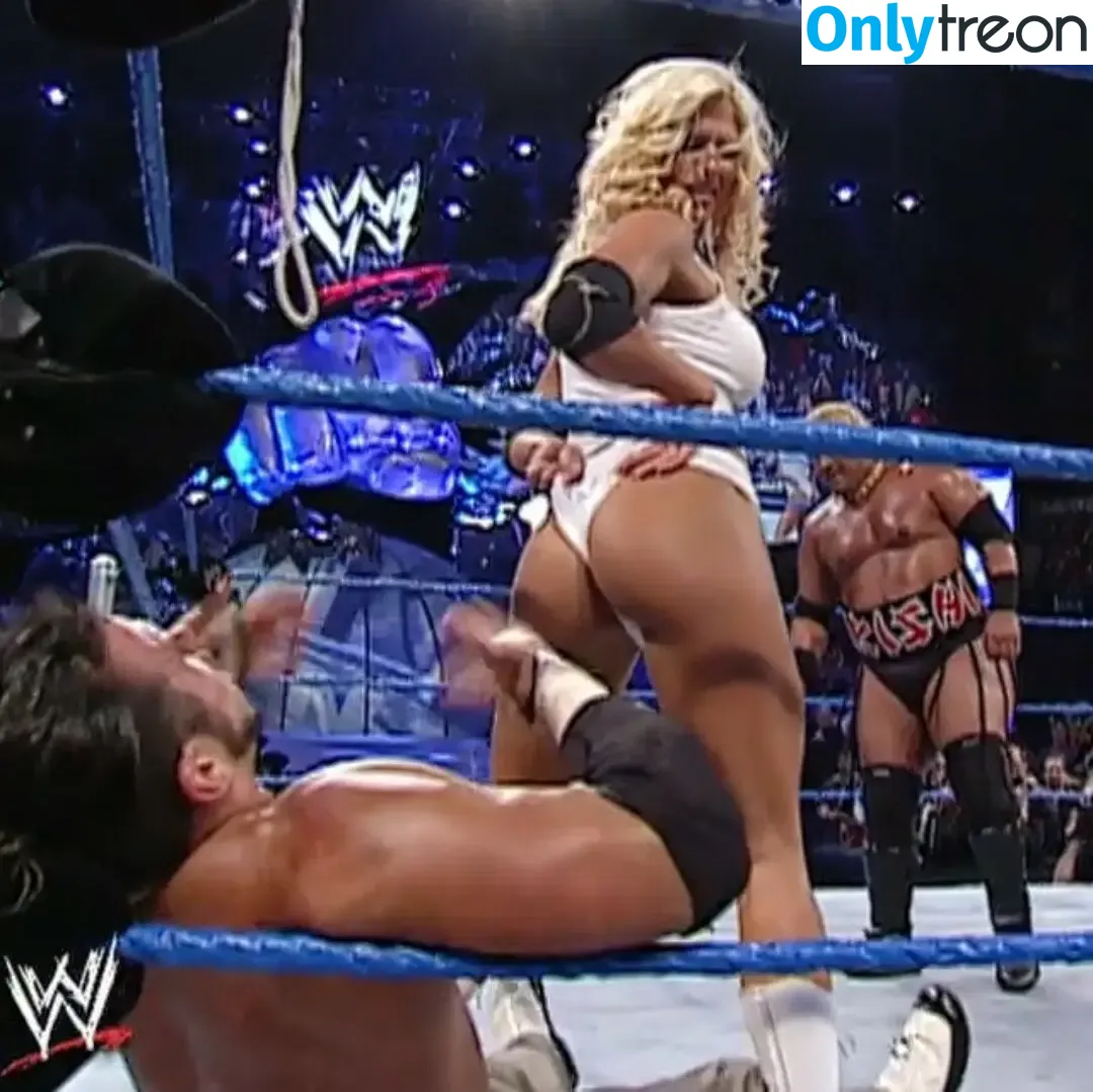 Torrie Wilson nude photo #1794 (torriewilson)