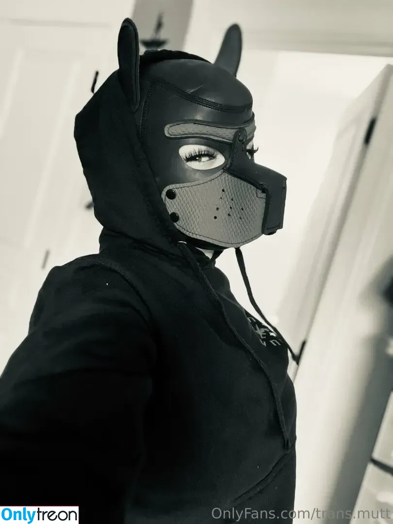 trans.mutt nude photo #0013 (shark.mutt)