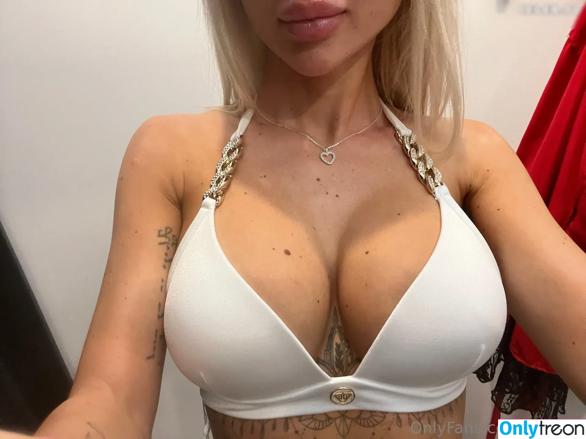 Transxemii nude photo #0047 (Transxemii)