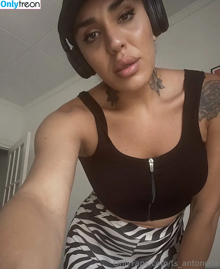 Ts.antonella nude photo #0089 (soyantonellag / ts_antonella)