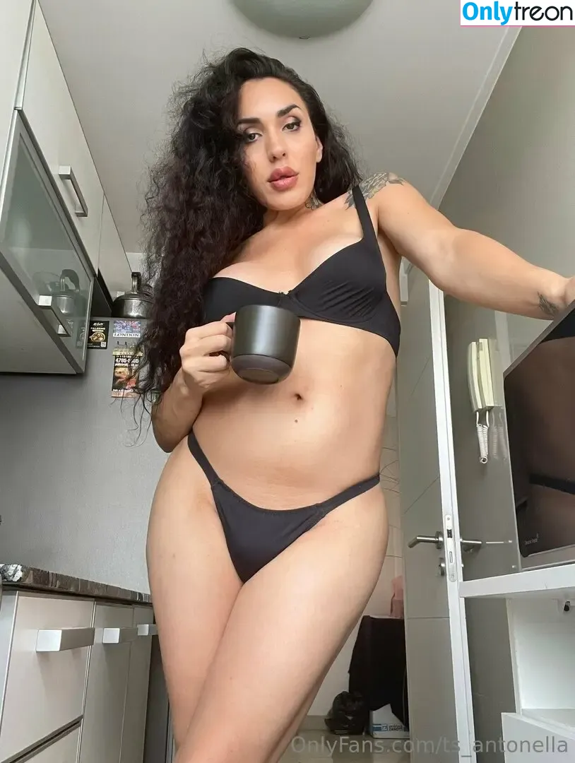 Ts.antonella nude photo #0109 (soyantonellag / ts_antonella)
