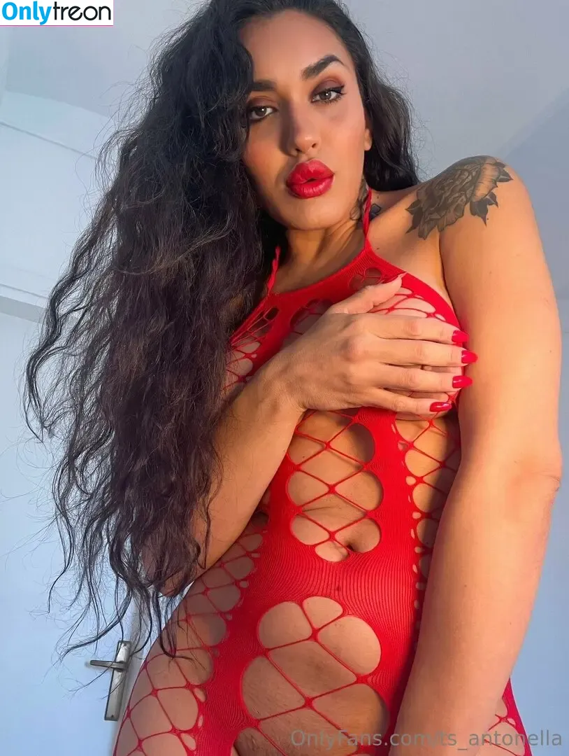 Ts.antonella nude photo #0112 (soyantonellag / ts_antonella)