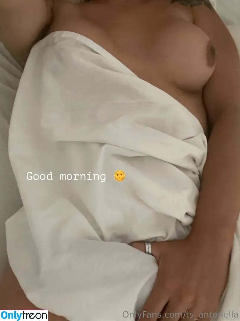 Ts.antonella nude photo #0128 (soyantonellag / ts_antonella)