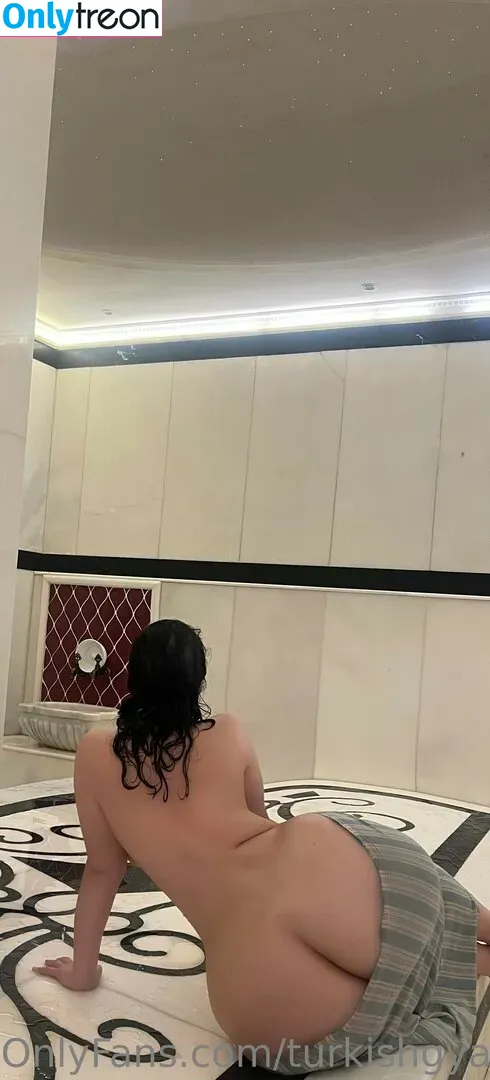 Turkishgyal nude photo #0129 (turkishgal)