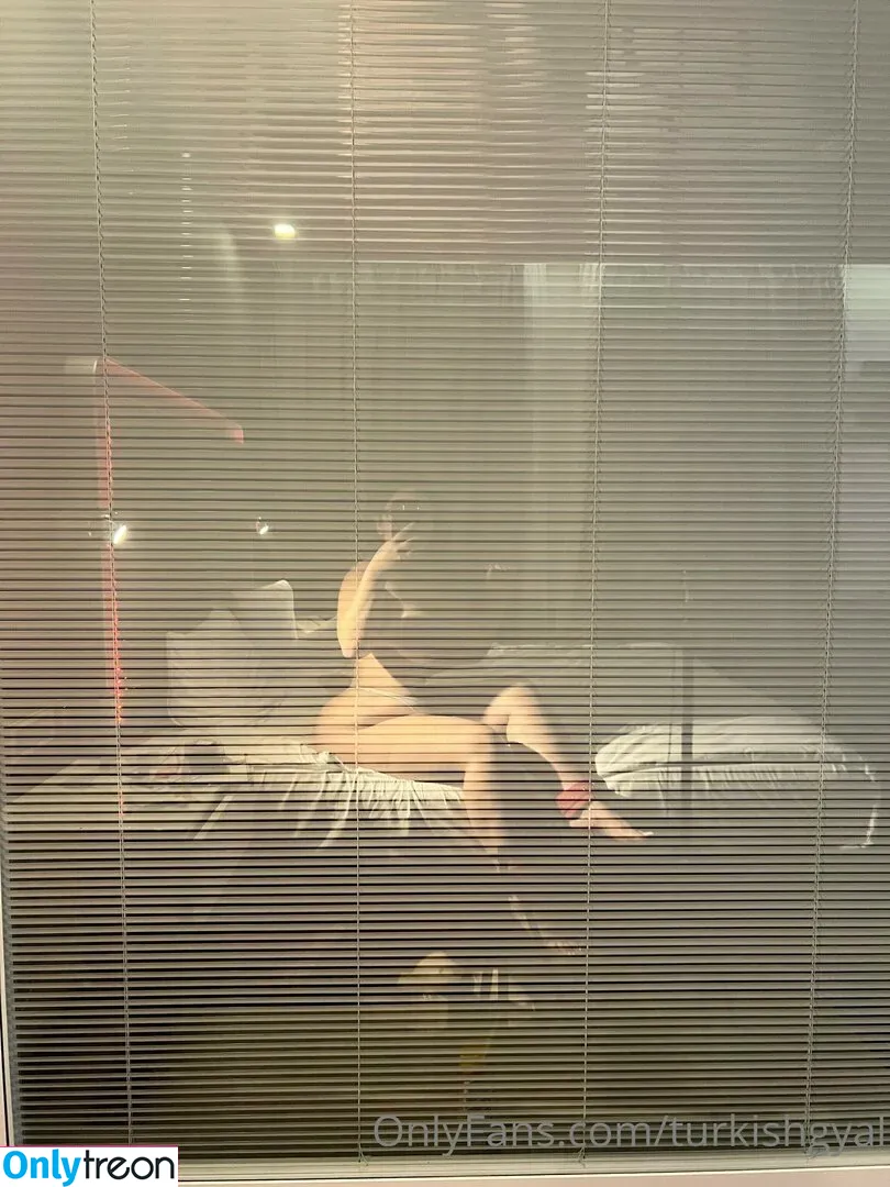 Turkishgyal nude photo #0136 (turkishgal)