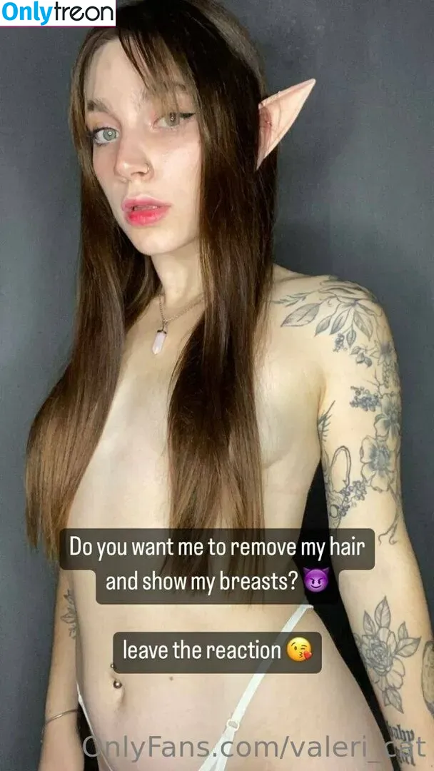 Valeri Catwoman nude photo #0006 (valeri_cat / valerizco)